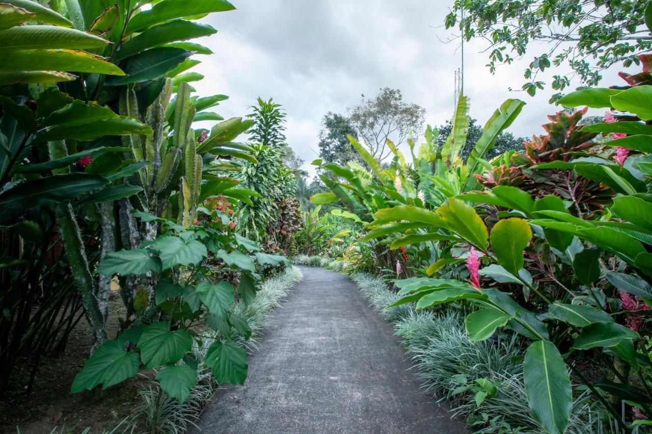 Hotel Rancho Cerro Azul La Fortuna Εξωτερικό φωτογραφία